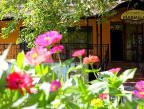 Сдам Торговые площади Энгельс, ул Тельмана, д. 10 85760