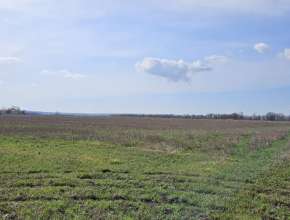 Купить земельный участок в Чардыме с. 570282