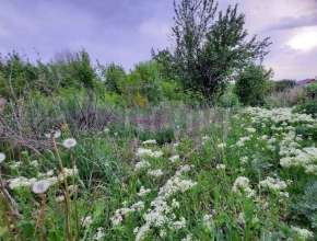 Купить земельный участок в Саратове 574254