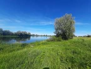 Купить земельный участок в Красная Поляна с. 576512