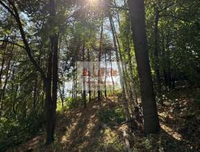 Купить коттедж в Красном Текстильщике п. 578814