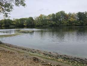 Купить дачу в Саратове 578918