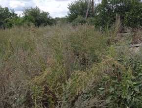 Продам Дом Бобровка, ул Садовая, д. 44 579615