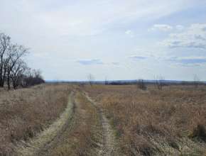 Продам - уч-к, 5,45 млн , 4.64Га., Чардым, ул Волжская, д. 37 Продам участок Чардым, ул Волжская, д. 37 579714