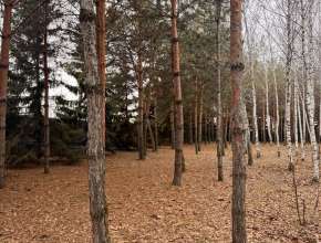 Продам - уч-к, 6 млн , 10сот., Саратов, Волжский р-н., ул им Челиева Е.Г. Купить земельный участок в Саратове 579831